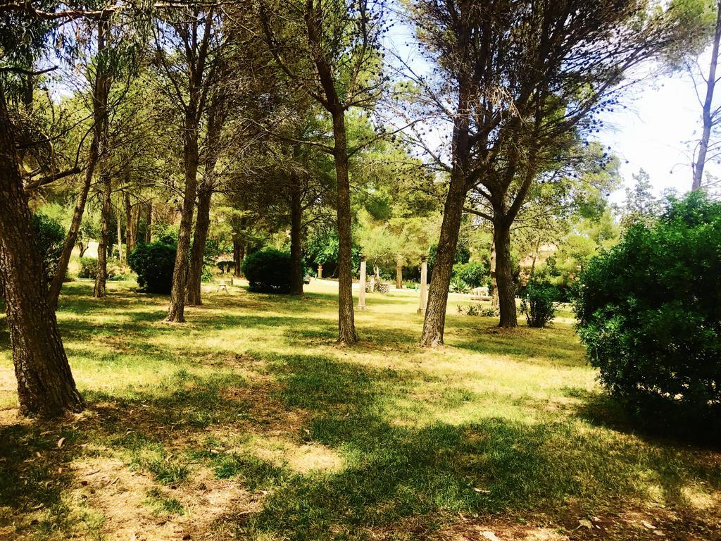 Private Villas Puerto Pollensa For Family Groups, Private Mountain Ideal For Runners, Trailers, Hikers, It Is Approximately 3 Minute Walk From The Beach Exteriör bild